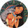 Pog n°42 - L'ami fidèle - Pocahontas - World Pog Federation (WPF)