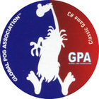 Pog n°4 - POG Classic Game - Global Pog Association (GPA)