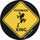 Pog n°4 - Surf'n Toss Game - World Pog Federation (WPF)